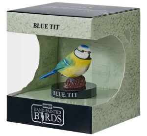 Mojo Blaumeise in einer Box